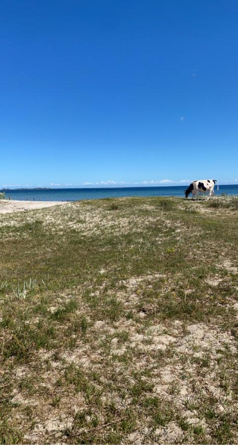 Bo I Egen Stuga Pa Haerlig Oelandsgard Köpingsvik Exteriér fotografie