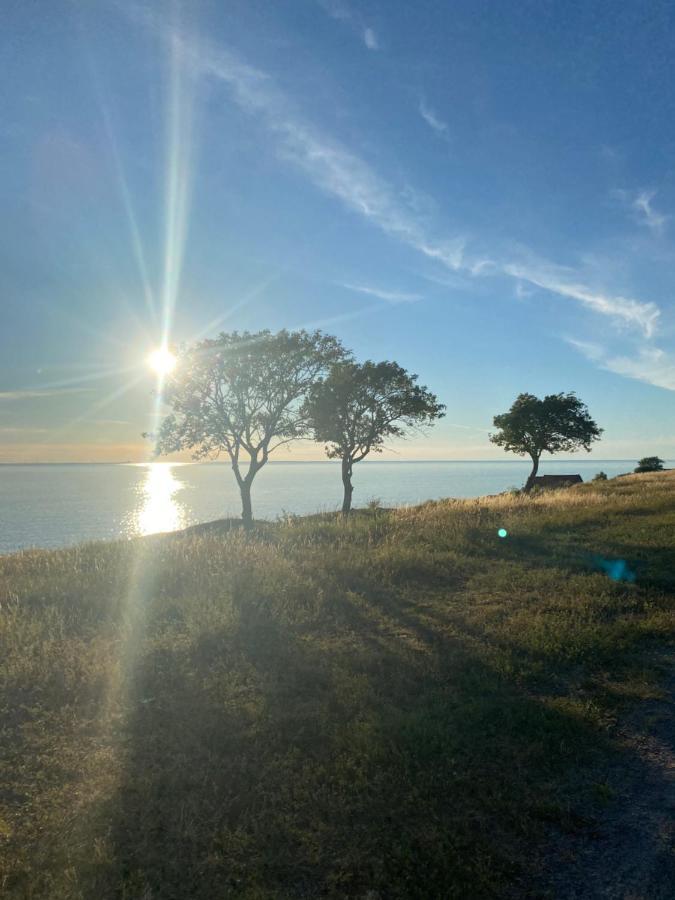 Bo I Egen Stuga Pa Haerlig Oelandsgard Köpingsvik Exteriér fotografie