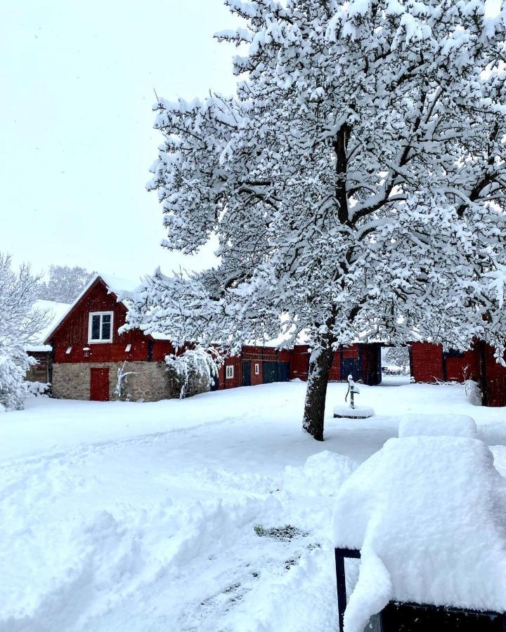 Bo I Egen Stuga Pa Haerlig Oelandsgard Köpingsvik Exteriér fotografie